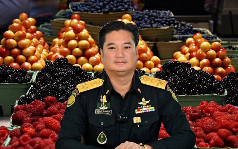 นักช้อปต้องรู้!! ก่อนหิ้วผลไม้สดเข้าไทย เป็นของฝากในวันสงกรานต์ ระวังผิดกฎหมาย