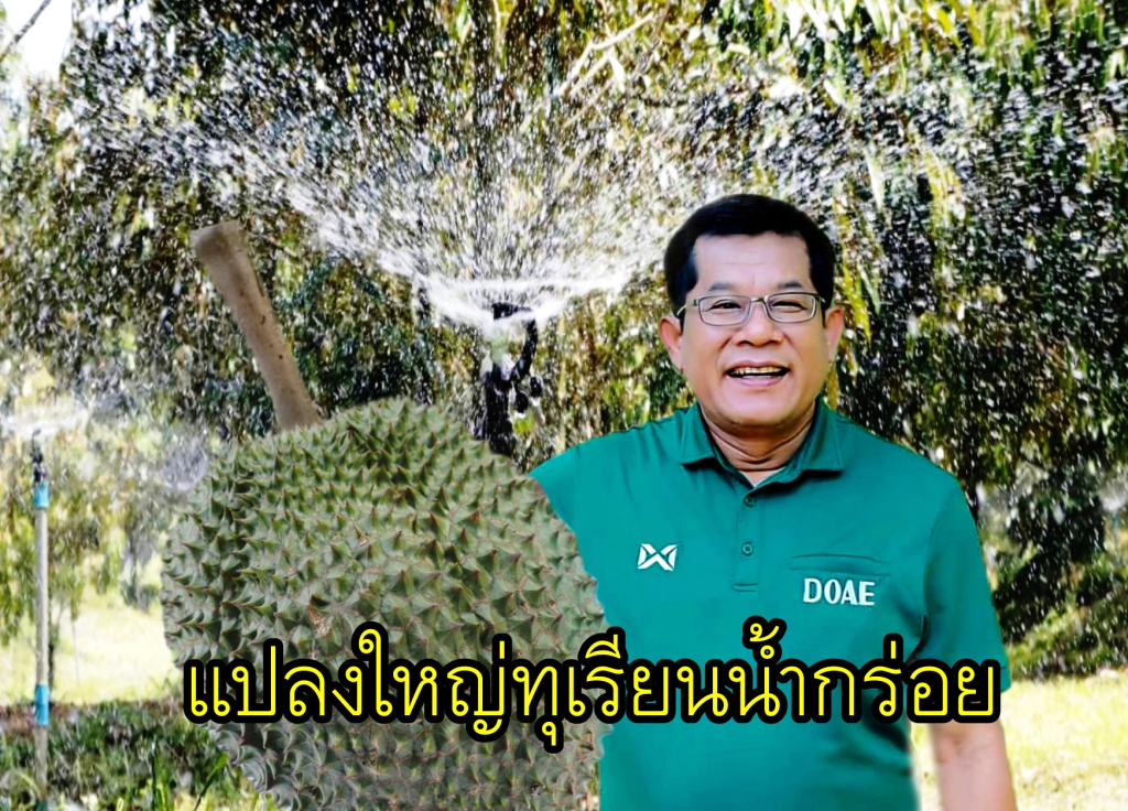 แปลงใหญ่ทุเรียนน้ำกร่อย จ.จันทบุรี ต้นแบบไม้ผลครบวงจร ตอบโจทย์ 3 มิติการพัฒนา