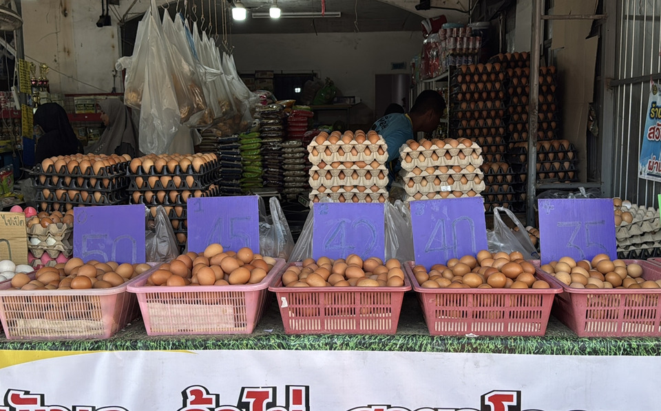 ร้านไข่ "โคกเมา–หาดใหญ่" ตรึงราคา 3 วัน ช่วยค่าครองชีพ ย้ำชัด “ต้นทุนยังไม่ขึ้น ก็ยังไม่ขึ้นราคา”