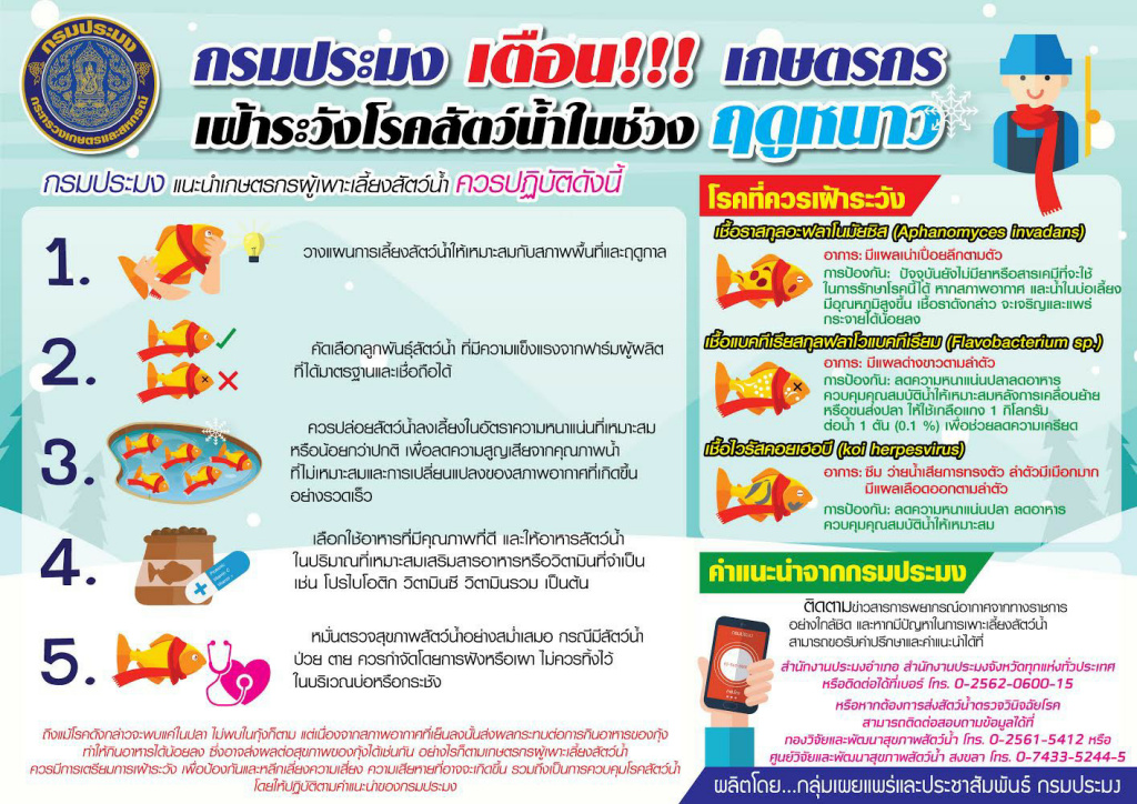 เตือน!! เกษตรกรเฝ้าระวังโรคสัตว์น้ำในช่วงฤดูหนาวนี้