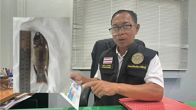 “ปลาหมอคางดำ” โผล่เขื่อนลำปาว! ประมงกาฬสินธุ์เร่งรับมือ หวั่นกระทบสัตว์น้ำเศรษฐกิจ 2,000 ล้าน