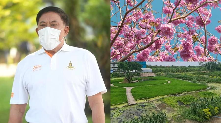 "กทม." จัดกิจกรรมปลูกไม้ยืนต้นวันพ่อแห่งชาติ-วันสิ่งแวดล้อมไทย