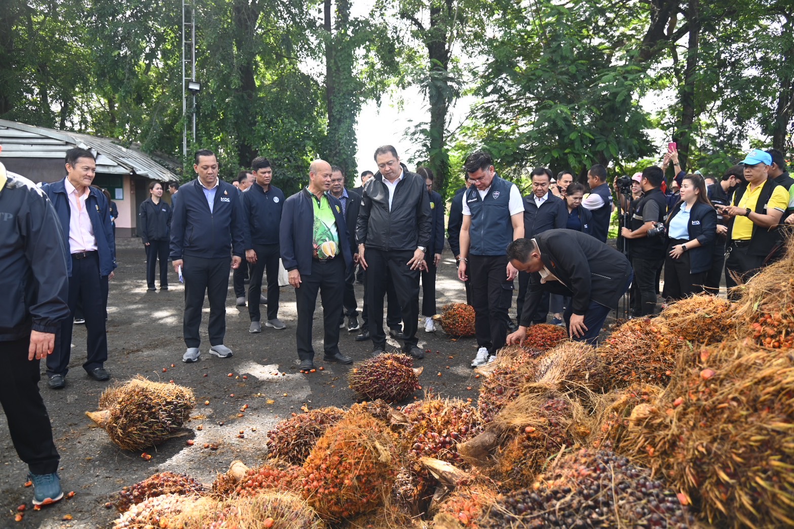"สุชาติ" รับลูก "ภูมิธรรม" ลงพื้นที่ จ.ชุมพร ตรวจเข้มรับซื้อปาล์ม เผยล้งพร้อมรับซื้อทุเรียนใต้ คาดราคาสูงถึง กก.ละ 170 บาท