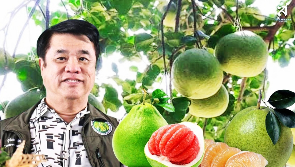 "สุริยะ แจ้งข่าวดี!! ญี่ปุ่นเปิดตลาด "ส้มโอไทย" เพิ่ม 2 พันธุ์ ขาวน้ำผึ้ง–ทับทิมสยาม ดันส่งออกพุ่ง