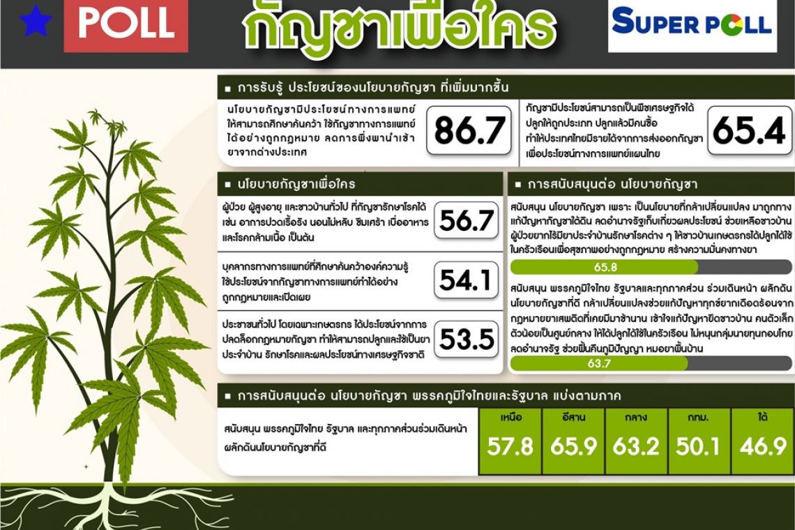 โพลชี้กัญชามาถูกทางสู่พืชเศรษฐกิจ