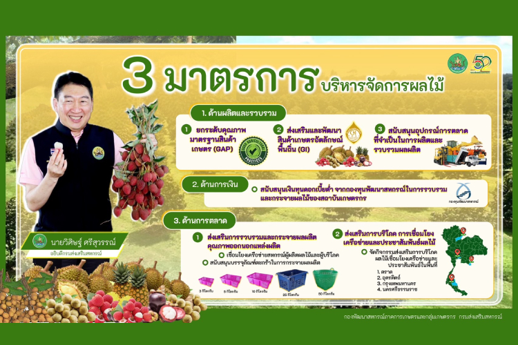 กรมส่งเสริมสหกรณ์ เตรียมพร้อม 3 มาตรการบริหารจัดการผลไม้