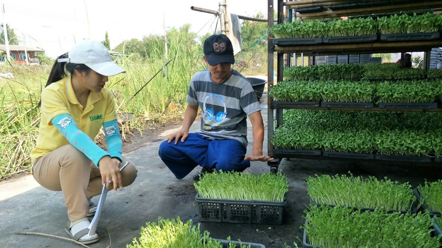 กรมส่งเสริมการเกษตร MOU กรมวิชาการเกษตร รับรองแหล่งผลิตพืช ตามระบบ GAP