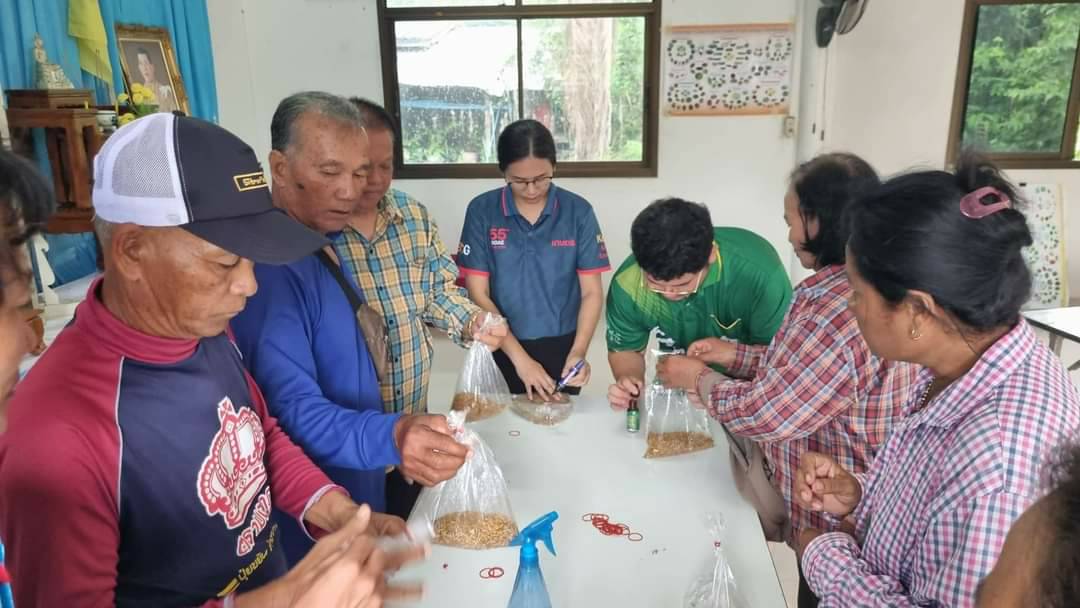 สำนักงานเกษตรจังหวัดฉะเชิงเทรา เสริมความรู้ผู้ปลูกข้าวด้วยกระบวนการโรงเรียนเกษตรกร