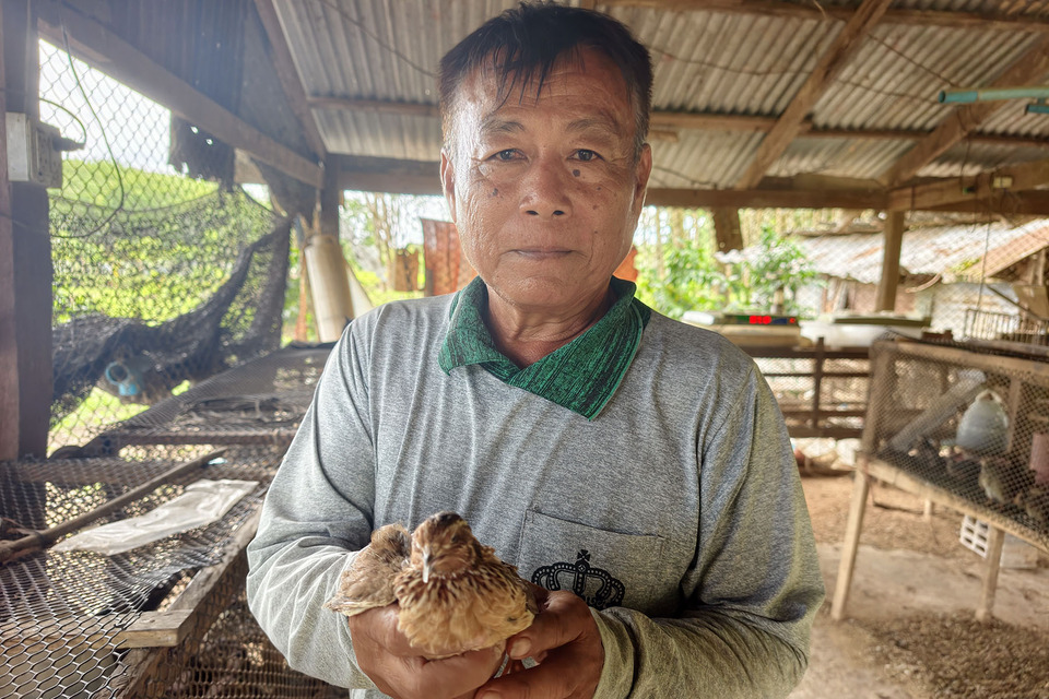   ไม่มีความจนในหมู่คนขยัน! เกษตรกรหนองคายทำเกษตรผสมผสาน 8 ไร่ สร้างรายได้ทั้งปีตามแนวเศรษฐกิจพอเพียง