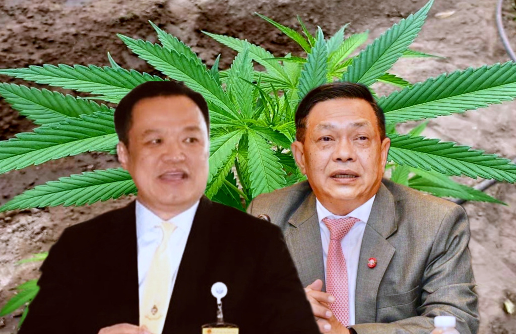 "อลงกรณ์" ห่วงใย "อนุทิน" กัญชาเสรี..ไม่กลัวดัง แต่กลัวดับ