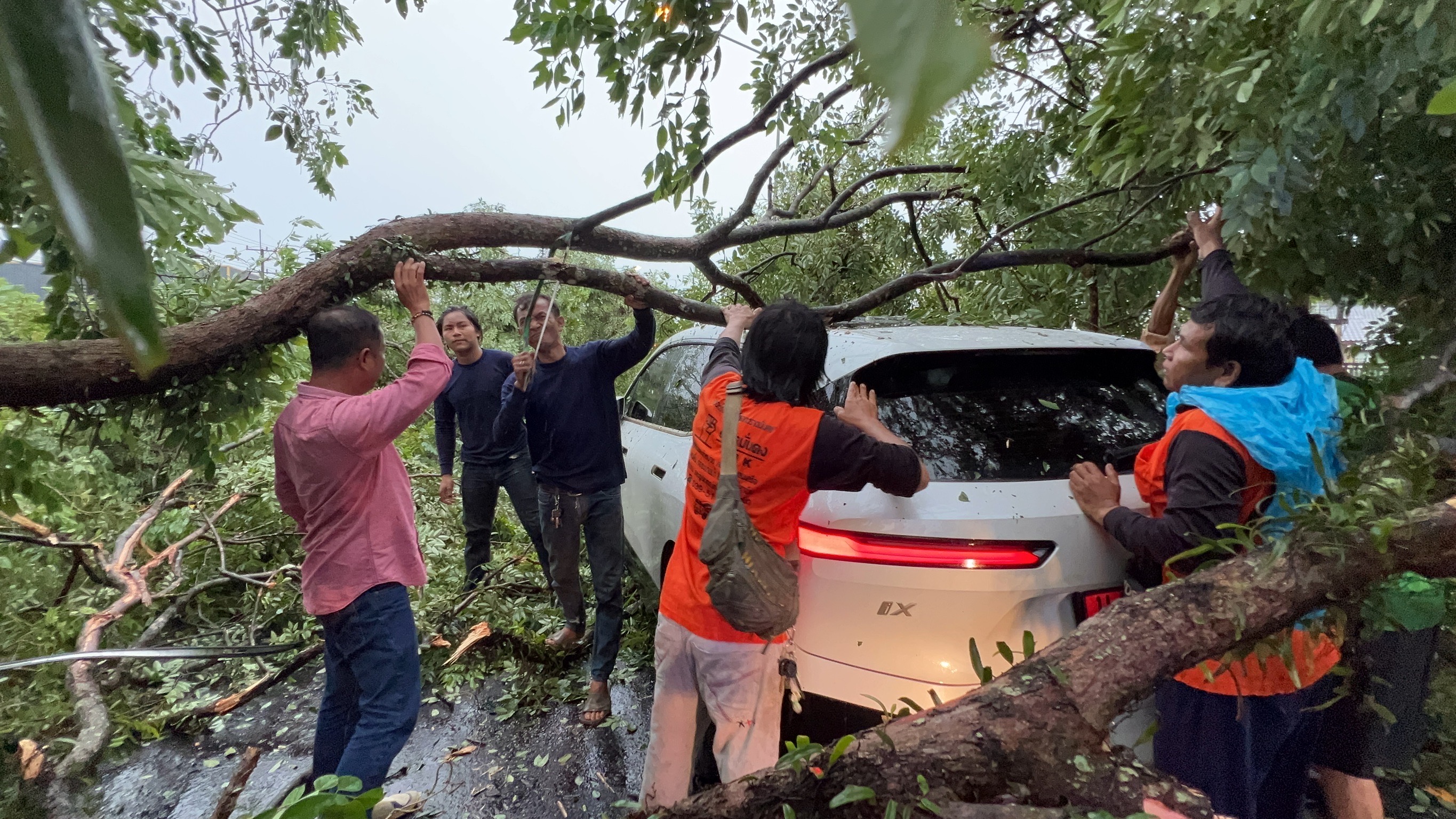 ระทึก! ฝนตกหนักพายุลมแรงถล่มทั่วตราด ต้นไม้ล้มทับ รถหรูป้ายแดง
