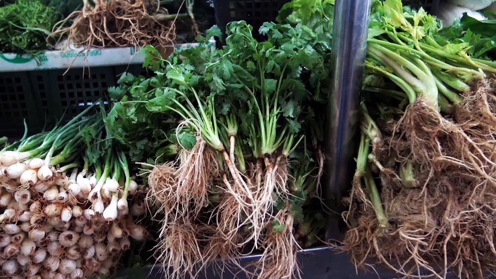 ตลาดสดสงขลา "ต้นหอม-ผักชี" ปรับราคาพุ่ง กก.ละ 200 บาท เหตุแหล่งปลูกหลายจังหวัดน้ำท่วม
