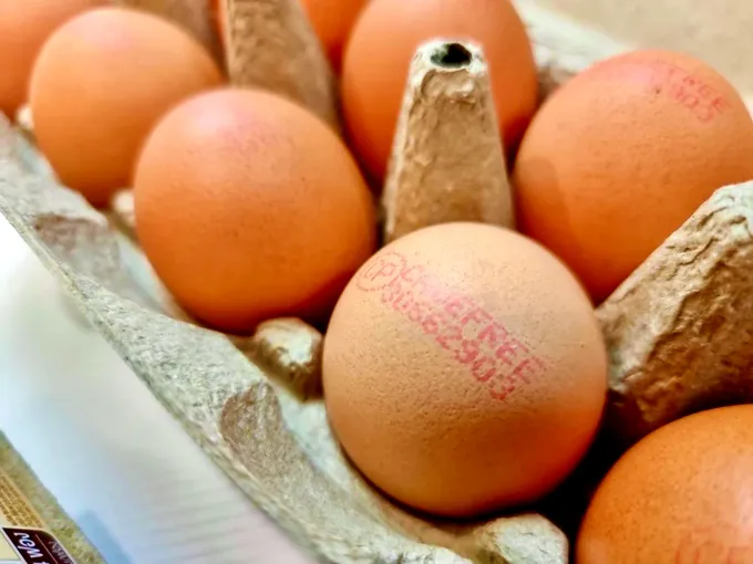 ซีพีเอฟ คัดสรร ไข่ไก่ Cage Free สด สะอาด ปลอดภัย มาตรฐานระดับสากล เพื่อสุขภาพที่ดีของผู้บริโภค