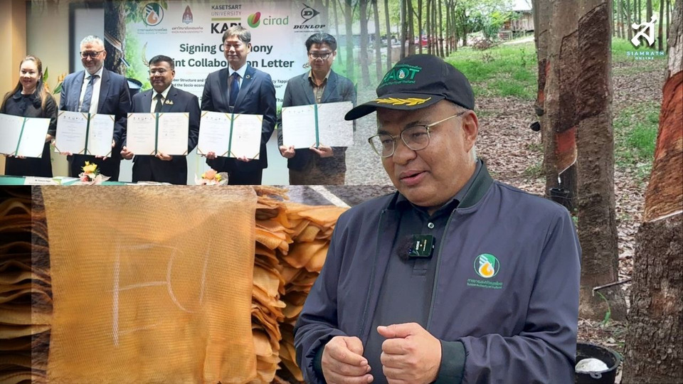 กยท. ผนึก 3 ประเทศวิจัย “กรีดยางความถี่ต่ำ” ต่อยอดนวัตกรรม เพิ่มแข่งขันตลาดโลก