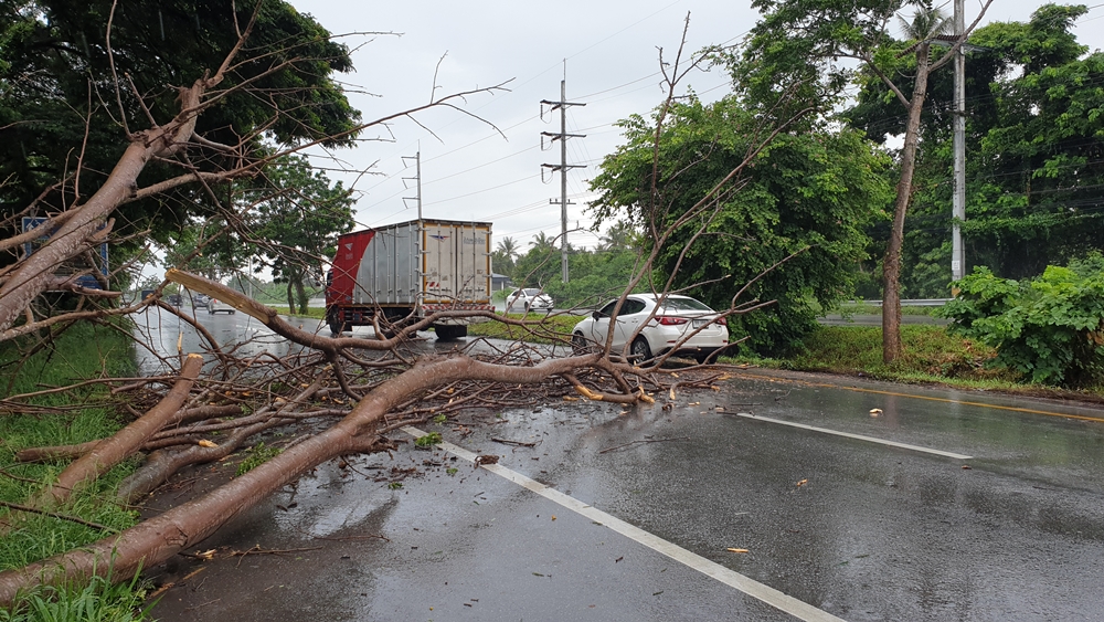 ถึงโดนหางโนอึลก็เสียหาย!!ลมฝนกระหน่ำประจวบ ต้นไม้ลม หลังคาปลิว เสียหายหลายจุด