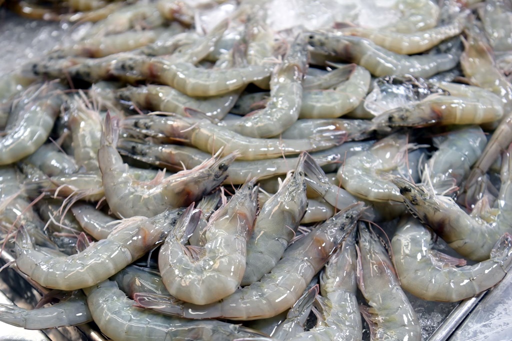 "กุ้ง" อาหารทะเลยอดฮิต โปรตีนคุณภาพดี อร่อยด้วย ช่วยชาติได้