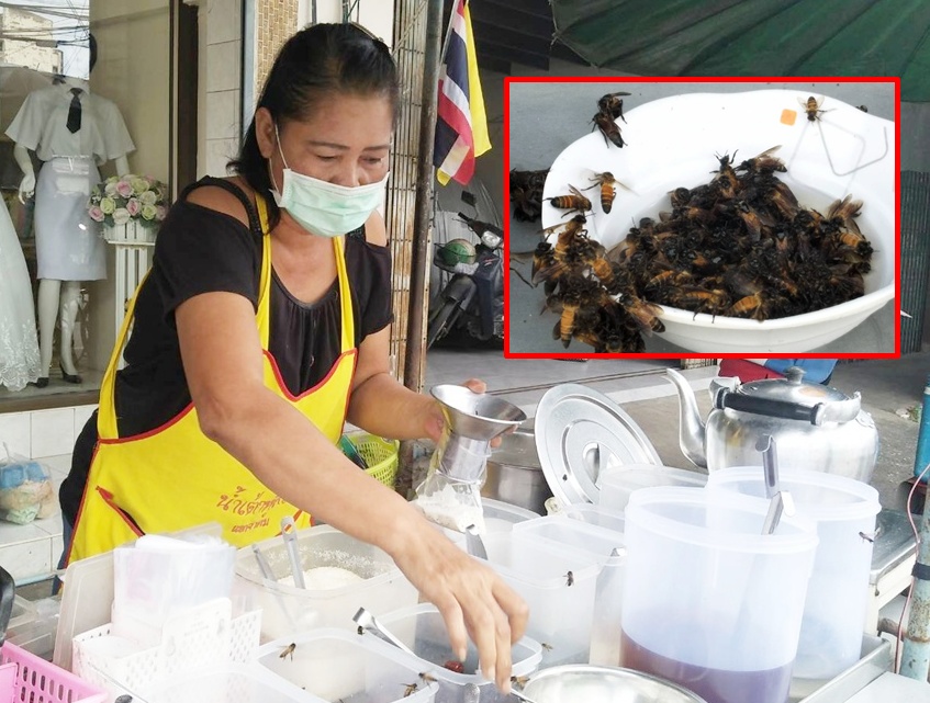 มาเป็นฝูง! ผึ้งหลวงแห่ตอมน้ำเชื่อมน้ำเต้าหู้ร้านดัง ลูกค้าผวายืนสั่งห่างๆ