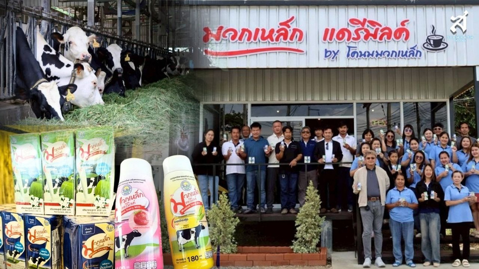 “มวกเหล็ก แดรี่มิลค์” นมโคแท้ 100% จากถิ่น “เมืองหลวงแห่งการเลี้ยงโคนม” 
