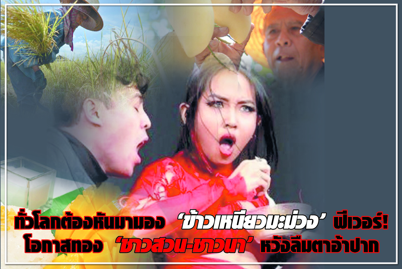 ทั่วโลกต้องหันมามอง “ข้าวเหนียวมะม่วง” ฟีเวอร์!  โอกาสทอง “ชาวสวน-ชาวนา”  หวังลืมตาอ้าปาก