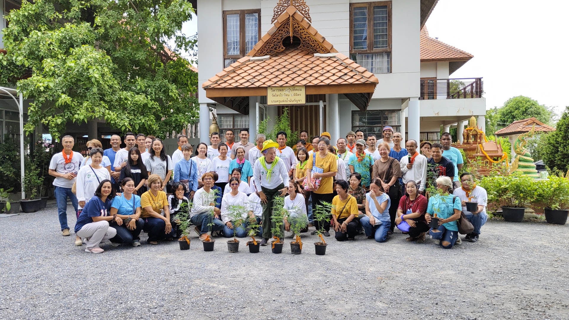 สุพรรณบุรี มูลนิธิข้าวขวัญจัดพิธีบวชต้นกัญชาสมุนไพร รักษาโรคให้พ้นภัยยาเสพติด
