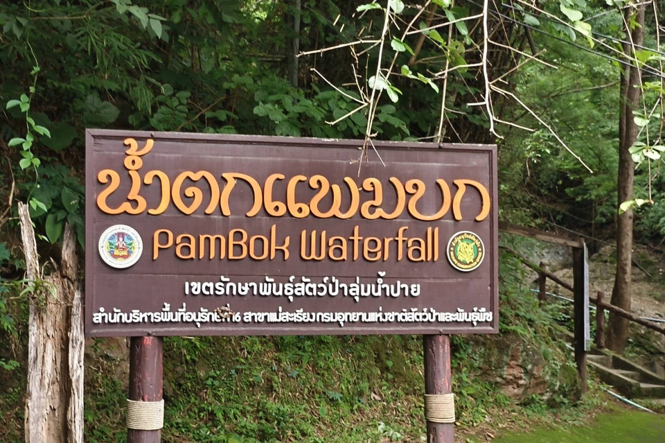 แม่ฮ่องสอนเตรียมเปิดเส้นทางเดินป่า “บ้านแพมบก” ดัน One Day Trip รับเทรนด์ท่องเที่ยวเชิงนิเวศน์