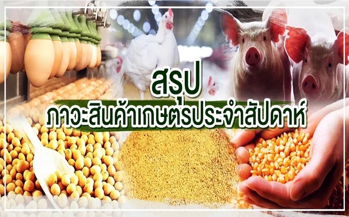 สรุปภาวะสินค้าเกษตรประจำสัปดาห์ วันที่ 10-14 มิถุนายน 2567