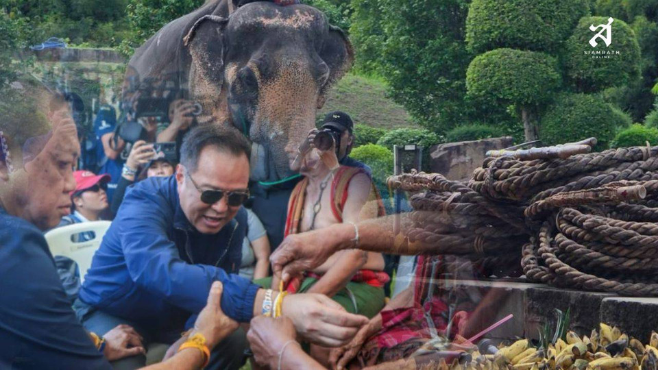 รู้จัก "พิธีปะกำช้าง" ประเพณีสืบทอด "ตระกูลชิดชอบ" ขลัง ไม่ขลัง หนุน "อนุทิน" ได้นั่ง "นายกฯ"