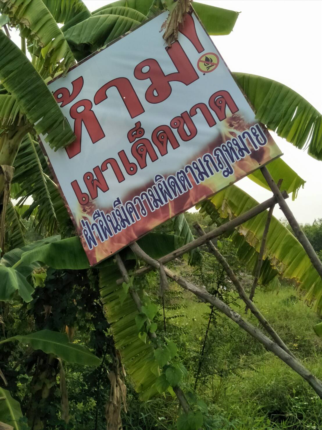 ชาวบ้านตำบลลำไทร ร้องคนมักง่ายนำขยะมาทิ้งจนป่วยโรคทางเดินหายใจ​ วอนผู้ว่าฯปทุมธานีช่วยแก้ปัญหา