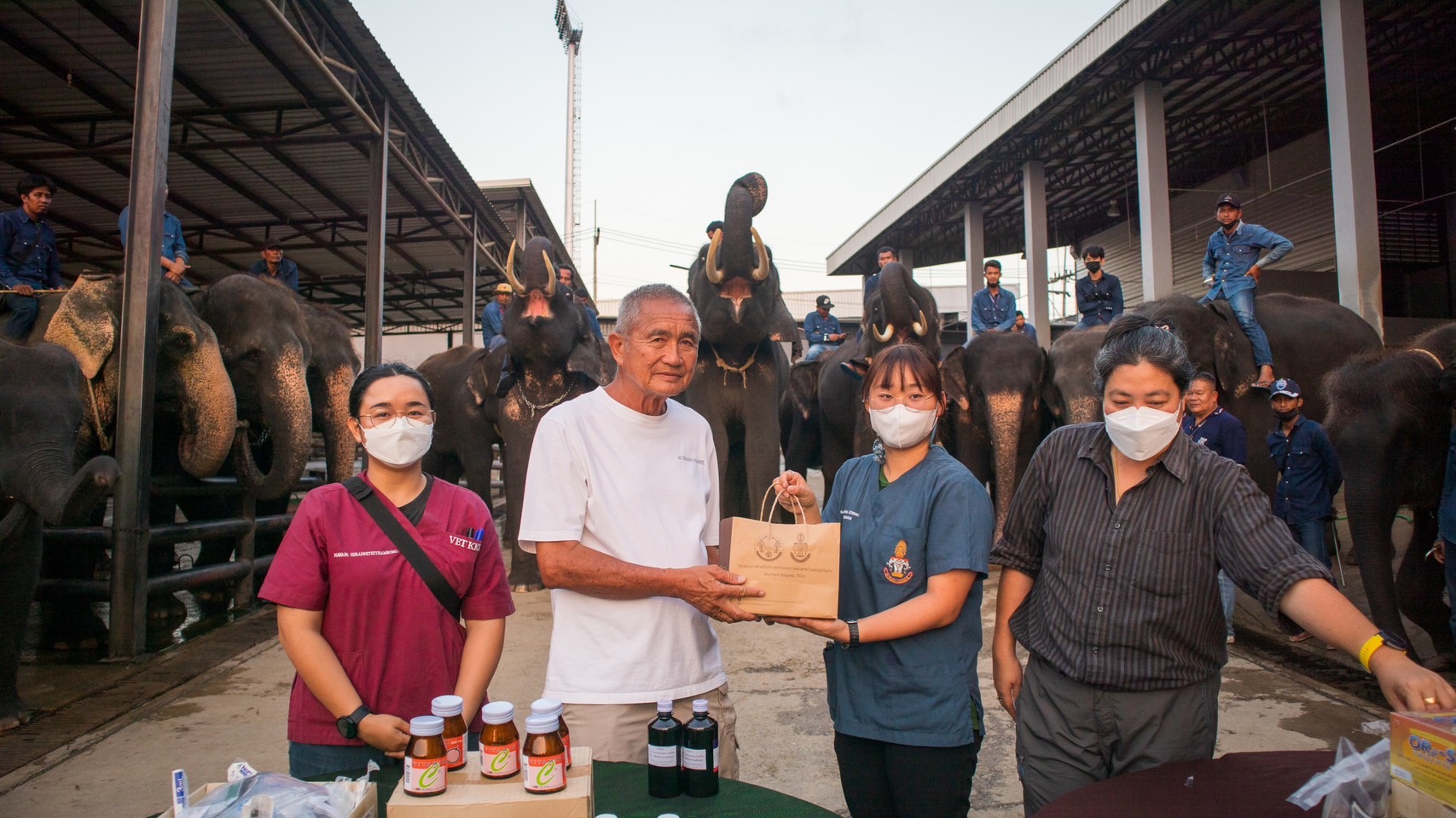ช้างลำปาง สถาบันคชบาลแห่งชาติในพระอุปถัมภ์ ได้มอบเวชภัณฑ์ พยาธิเพื่อพัฒนาสุขภาพ และเวชภัณฑ์สำหรับประถมพยาบาล ในการดูแลสุขภาพเบื้องต้น