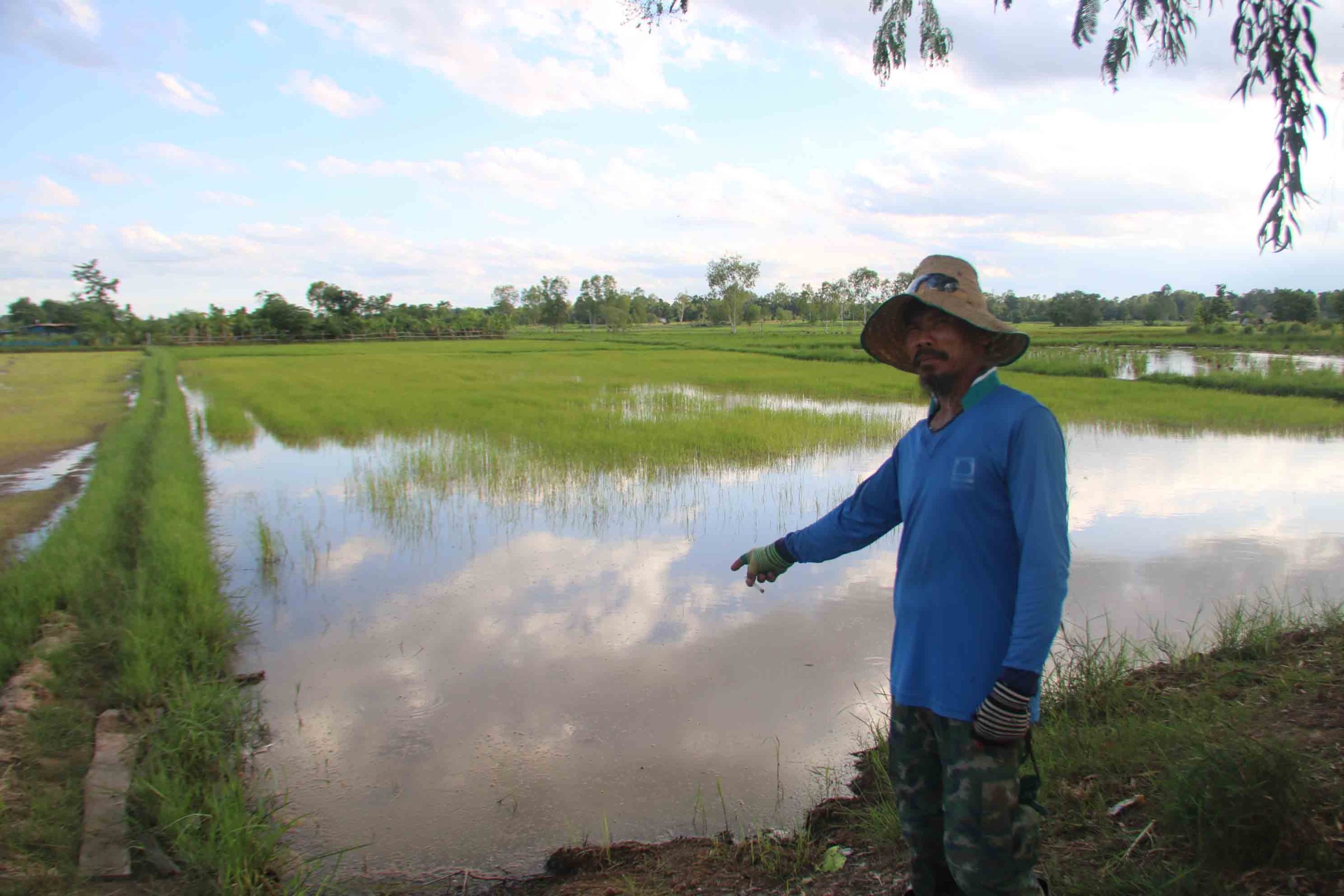 ชาวนากาฬสินธุ์เรียกร้องนักการเมืองรีบตั้งรัฐบาลใหม่ แก้ไขปัญหาประเทศ