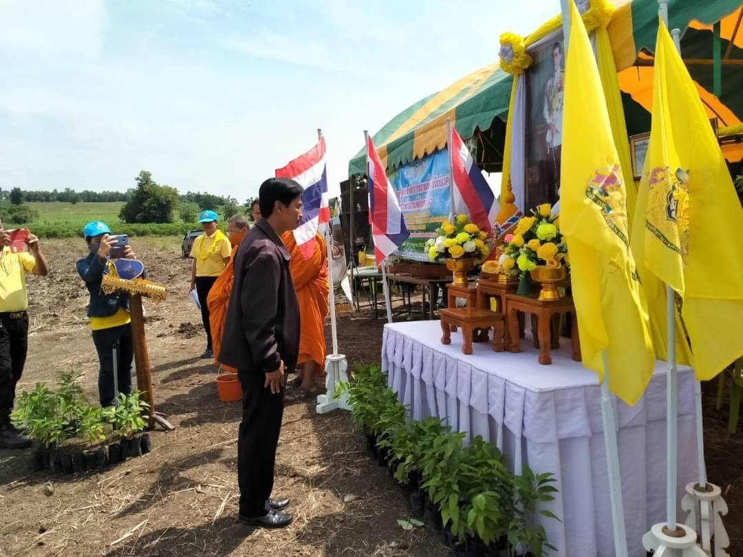 อพท.4 ร่วมกับ ชมรมส่งเสริมการท่องเที่ยวโดยชุมชนอ่างทอง จัดกิจกรรมปลูกป่า “เราทำความดีด้วยหัวใจ”
