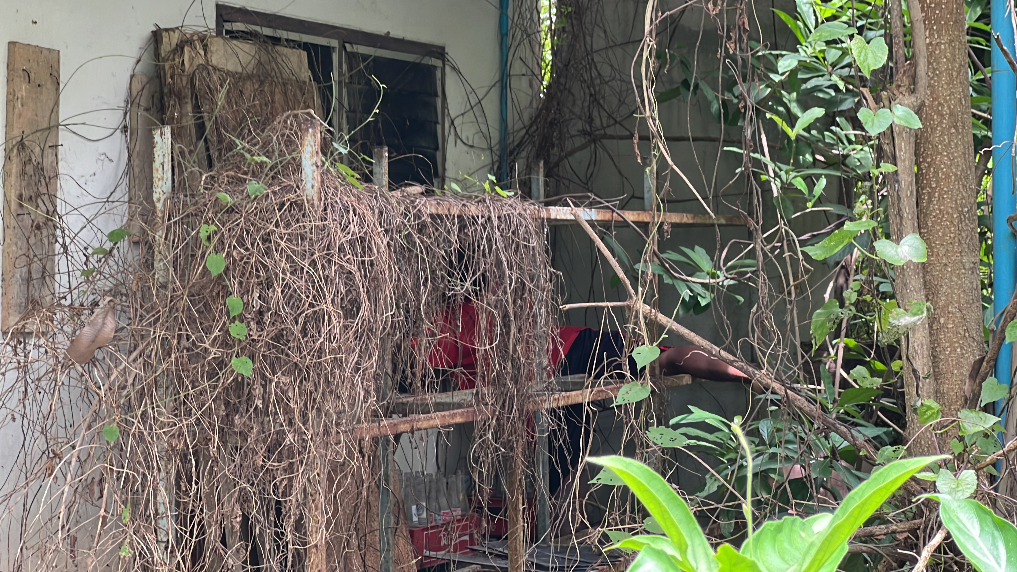 พบศพหนุ่มเมียนมา ถูกไฟช๊อตตายคาหน้าต่างบ้านร้าง ที่เจ้าของปล่อยกระแสไฟฟ้าเอาไว้กันโจร