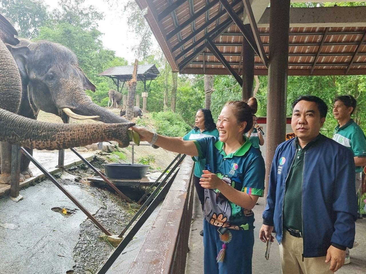 สวนสัตว์เปิดเขาเขียว ฉลอง“วันช้างไทย 13 มีนา 2567”มอบเค้กก้อนยักษ์ผลไม้ให้กับช้าง 