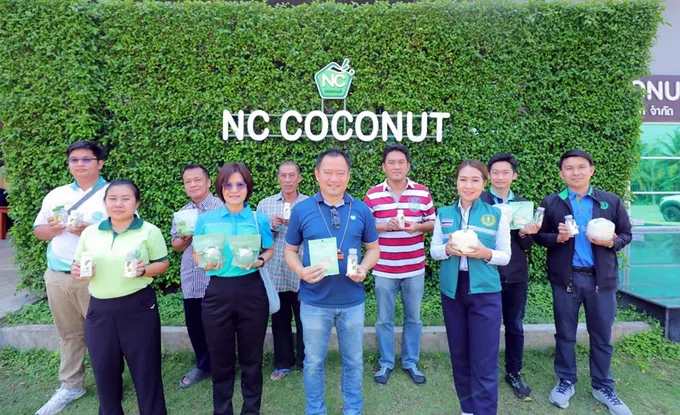 เกษตรเขต 2 ผลักดันเกษตรกรมะพร้าวรวมกลุ่ม "แปลงใหญ่" ยกระดับคุณภาพสู่ตลาดสากล