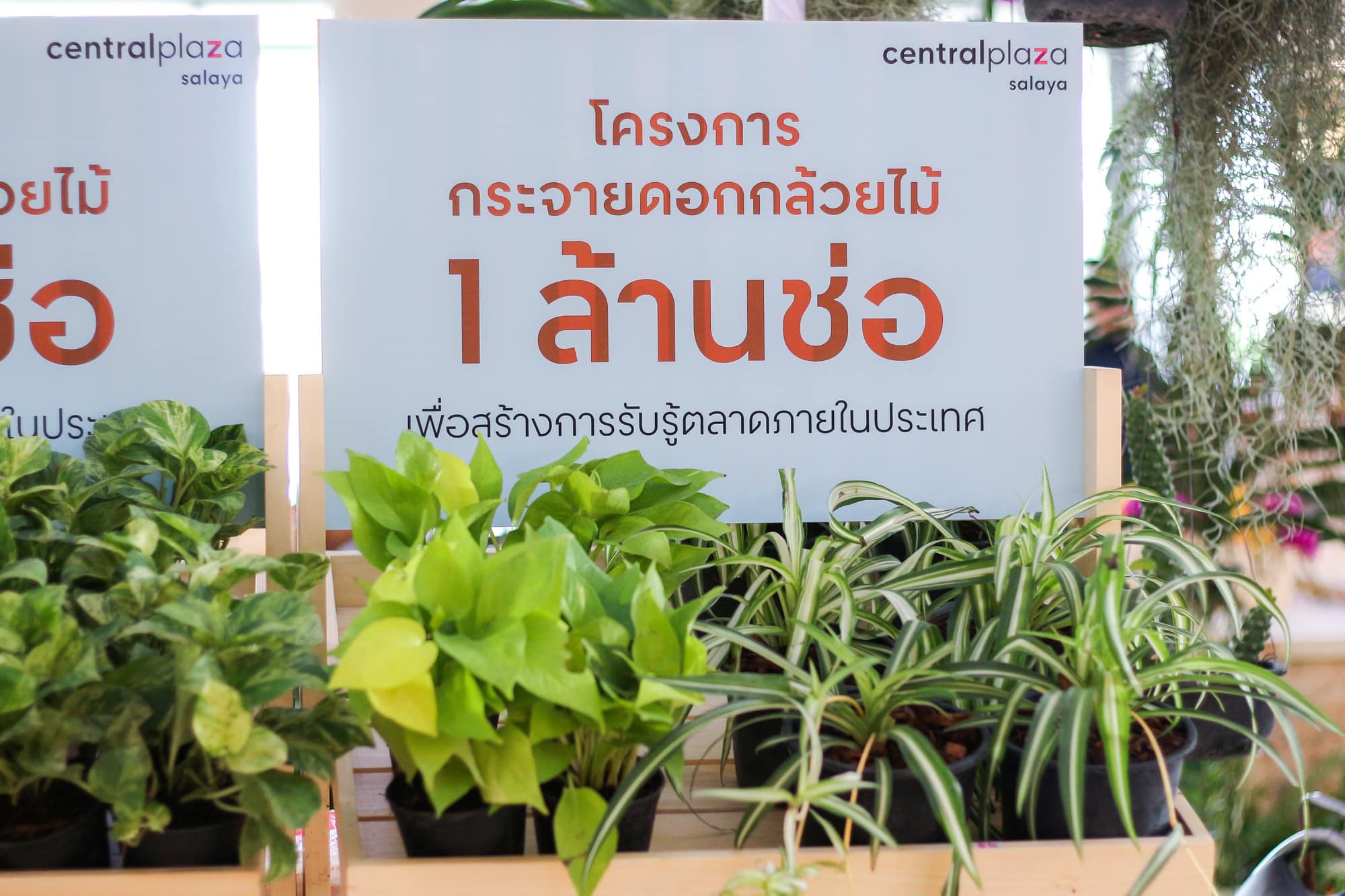 เซ็นทรัลฯ ร่วมกับ จ.นครปฐม ชวนช่วยเกษตรกรไทยช้อปดอกกล้วยไม้ 1 ล้านช่อ