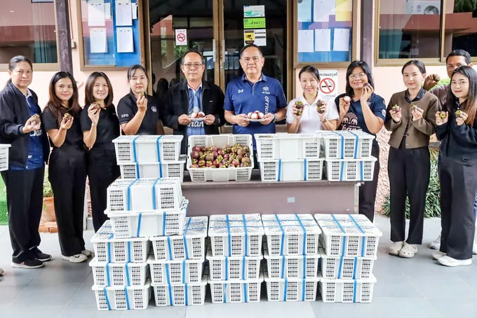 สหกรณ์กระสังเชื่อมตลาด! แลกข้าวหอมมะลิบุรีรัมย์ 4.5 ตัน กับมังคุดระนอง เพิ่มช่องทางขายสินค้าเกษตร