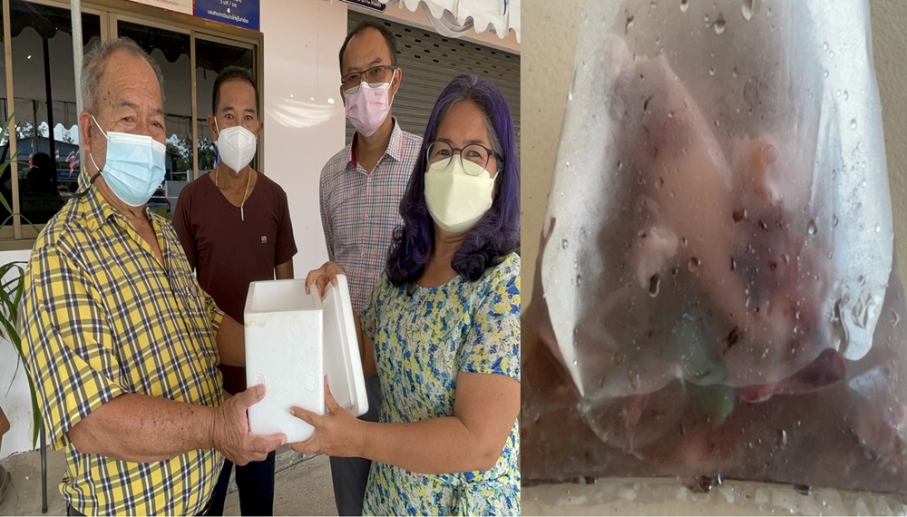 สาวใหญ่เมืองระยอง ร้องซื้อหมึกสดปรุงอาหารรับประทาน เกิดอาการคลื่นไส้ปวดท้อง หวั่นมีสารเคมีปนเปื้อน 