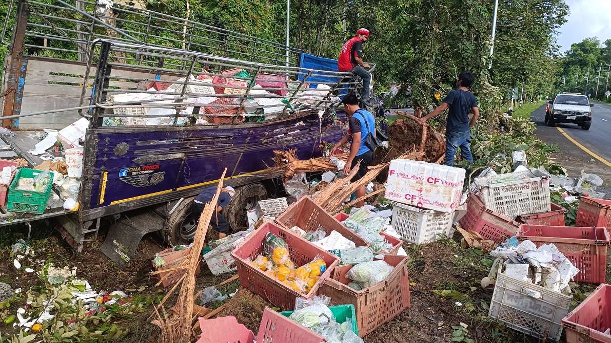 สิบล้อบรรทุกผักผลไม้สดส่งห้างดังภูเก็ต ลื่นชนต้นไม้เทกระจาดบนถนนเพชรเกษมสายพังงา-ภูเก็ต