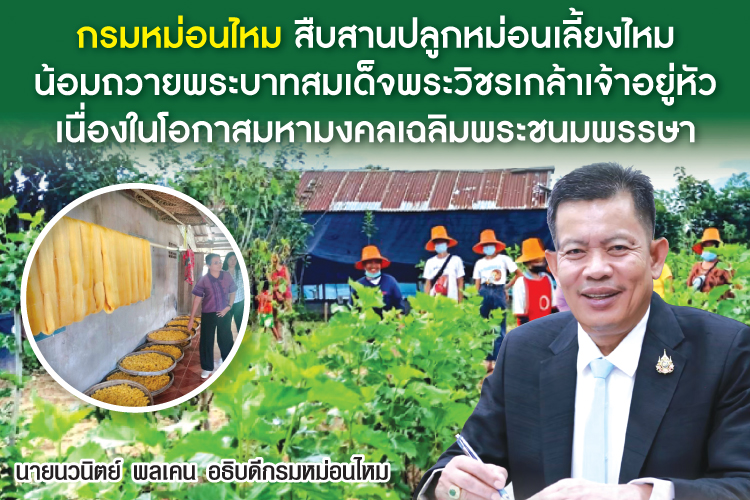 กรมหม่อนไหม สืบสานปลูกหม่อนเลี้ยงไหม น้อมถวายพระบาทสมเด็จพระวชิรเกล้าเจ้าอยู่หัว เนื่องในโอกาสมหามงคลเฉลิมพระชนมพรรษา