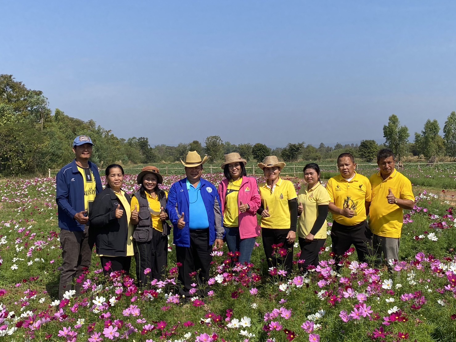 อบต.นาฝายประกาศรางวัลภาพถ่ายทุ่งคอสมอชนะเลิศ หนูน้อยBee”zy ได้รับรางวัลที่1 