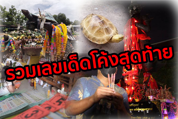 มัดรวมเลขเด็ด-เลขดัง ก่อนหวยออกวันนี้