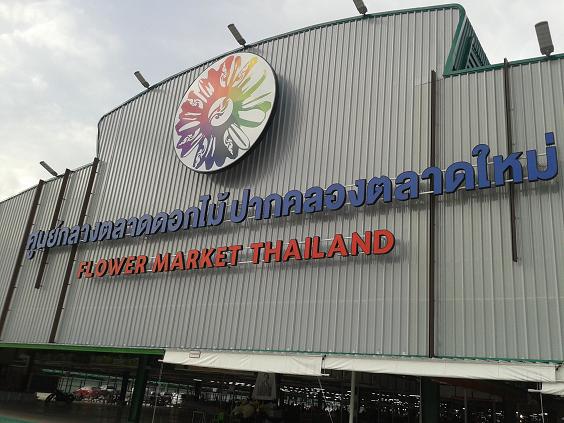 “ที่นี่กรุงเทพฯ” / 1 ปีปากคลองตลาดใหม่