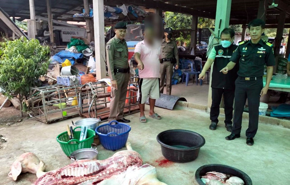 ปศุสัตว์สุโขทัยเข้ม สนธิกำลังตำรวจจับกุมผู้ประกอบการฆ่าสัตว์เถื่อน