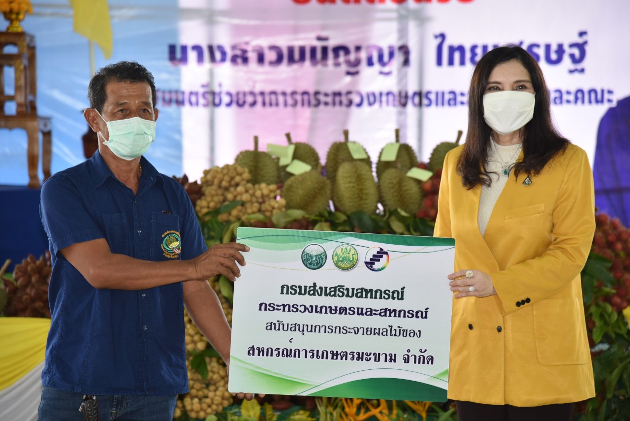 รมช.เกษตรฯลงพื้นที่จันทบุรีเยี่ยมชมการรวบรวมคัดแยกผลไม้ สหกรณ์เมืองขลุงพร้อมปล่อยคาราวานรถบรรทุกผลไม้ของสหกรณ์กระจายสู่ผู้บริโภคทั่วปท.