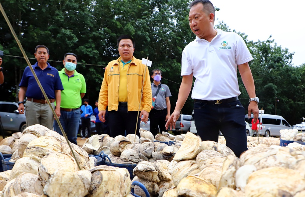กยท. ชู  "Thai Rubber Trade" เชื่อมโยงข้อมูลซื้อขายยางผ่านระบบตรวจสอบย้อนกลับ รับมาตรการ EUDR