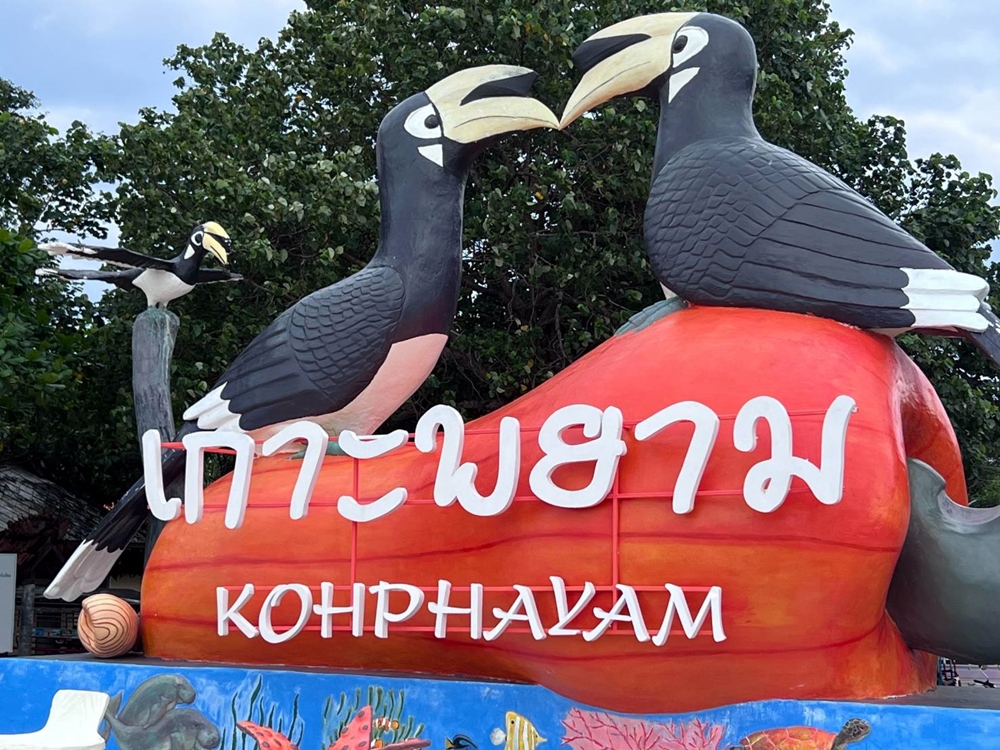 ระนอง ชวนคู่รัก ชมนกเงือก พิสูจน์รักแท้อันบริสุทธิ์ชั่วนิรันดร์  