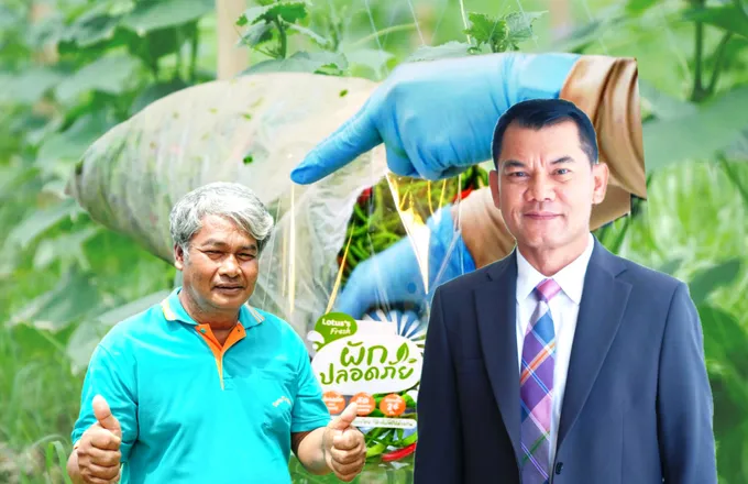 แปลงใหญ่ผักบ้านบางท่าข้าม ผลิตพืชผักคุณภาพ ปลอดภัย สร้างรายได้ชุมชนกว่า 4 ล้าน/ปี