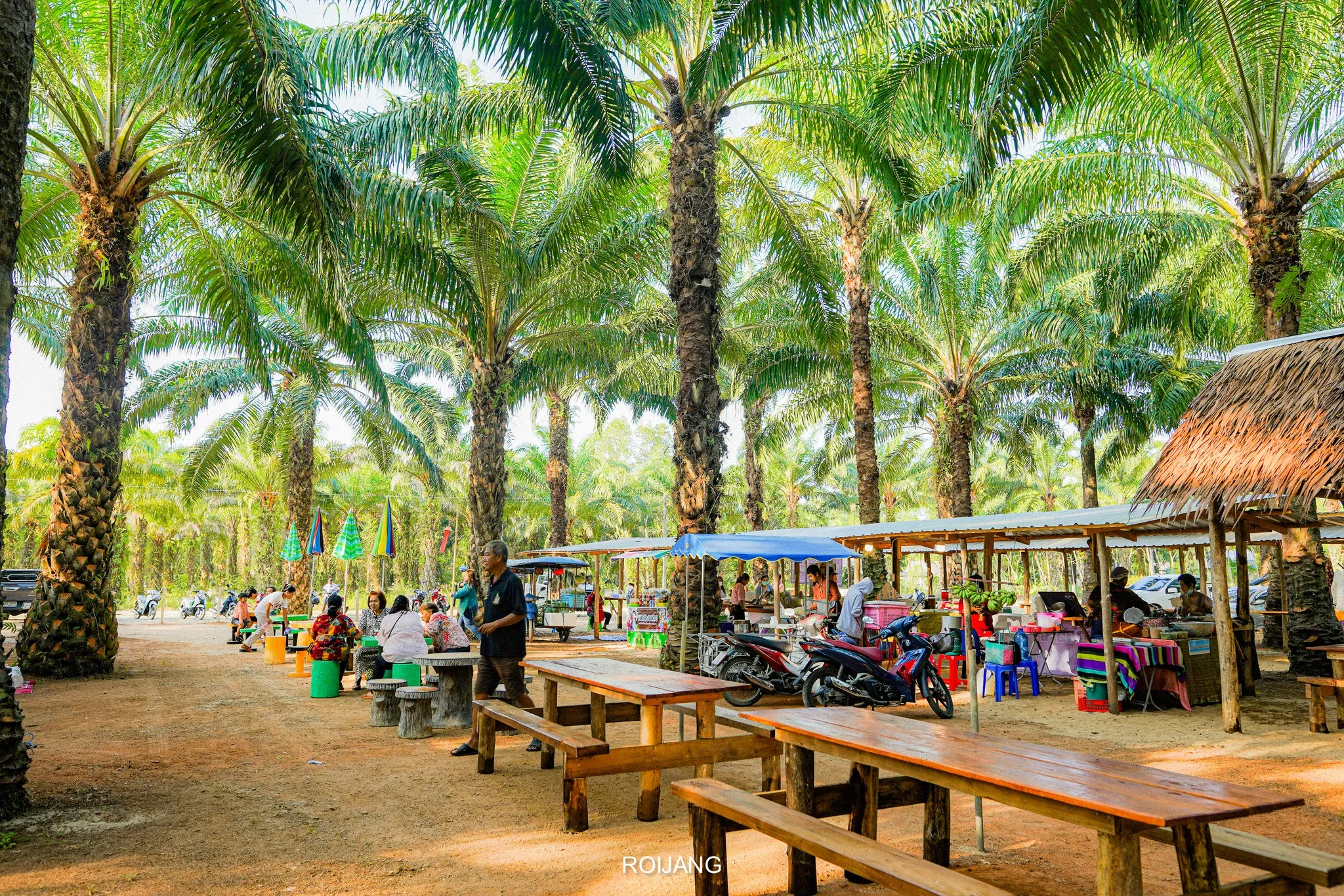 บรรยากาศที่ตั้งของตลาดนัดท่าซอ ภายในสวนต้นปาล์ม ต้นไม้เศรษฐกิจขึ้นชื่อของภาคใต้ ประเทศไทย