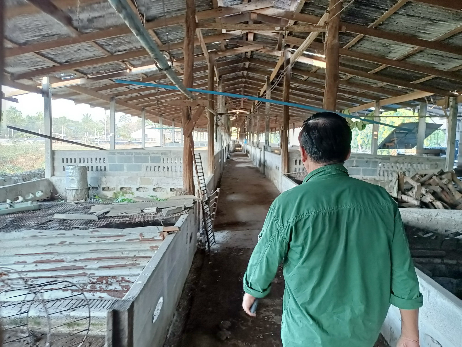 โรคระบาดซ้ำซากทำผู้เลี้ยงสุกรรายย่อยฉะเชิงเทราเหลือไม่ถึง 40 ราย 