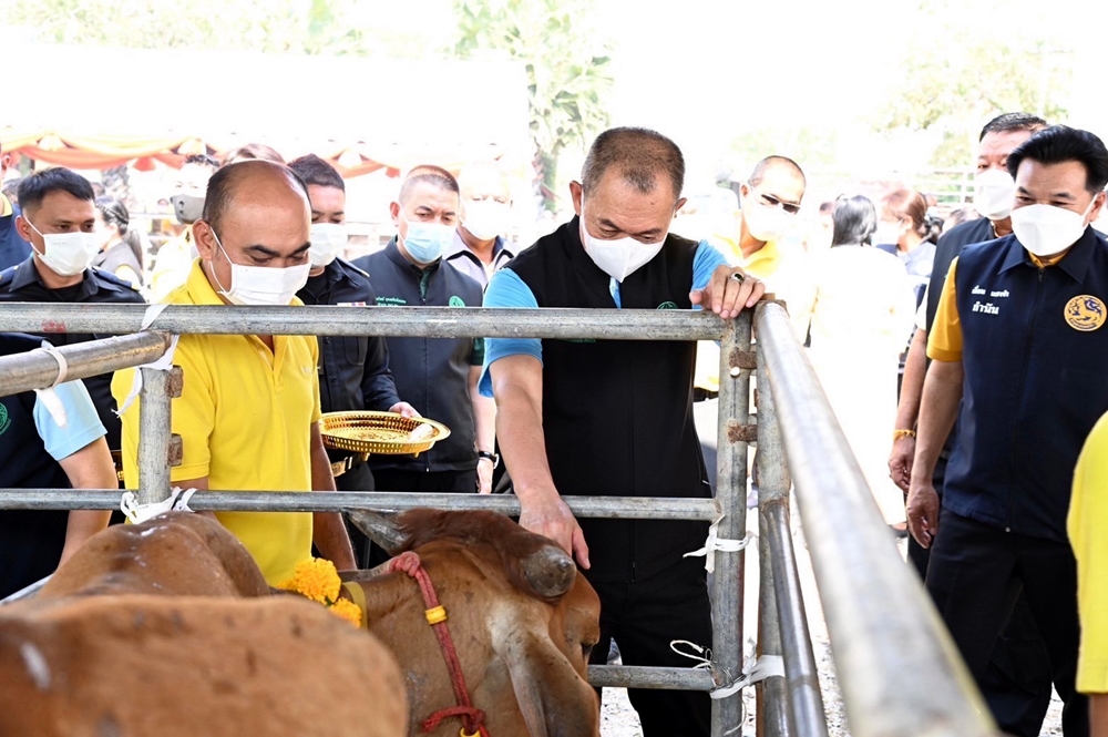 เกษตรฯ ไถ่ชีวิตโค-กระบือ ถวายเป็นพระราชกุศลแด่ "พระองค์ภา" พร้อมหนุนกลุ่มเกษตรกรมีส่วนร่วมบริหารโครงการธนาคารโค-กระบือฯ